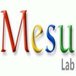 Mesu Lab Enterprise Co.,  Ltd