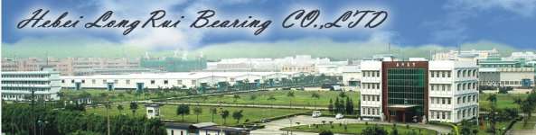 Hebei Longrui Bearing Co.,  Ltd.