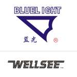 Wuhan Wellsee Electronics Co.,  Ltd