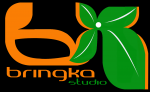 BRINGKA STUDIO