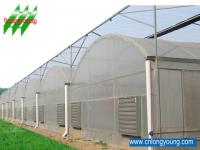 China Longyoung Greenhouse Company Limited