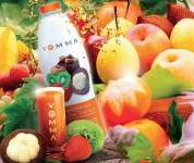 Vemma Indonesia - Home Based Health Business Opportunity