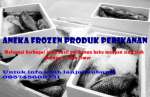 Aneka Frozen Produk Perikanan