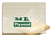 Mr.Plywood