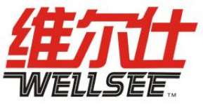 Hubei Bluelight and Wellsee Technique Company