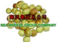 Shandong Sea Breeze Group Company
