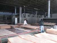 Linyi Tianxiang Wood Co.,  Ltd.
