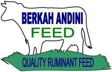 BERKAH ANDINI FEED