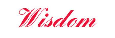 Wisdom Fitness Equipment Co.,  Ltd.