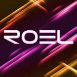 Roel Electronics Technology