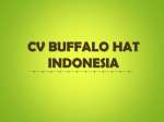 CV. Buffalo Hat Indonesia