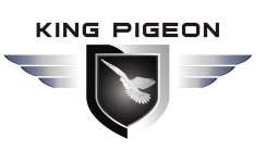 King Pigeon Security Alarm Inc