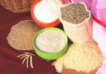 mahesh agro food industries
