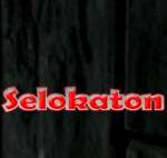 Selokaton Artificial Stone