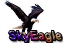 Sky eagle technology Co.,  ltd