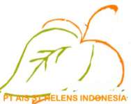 PT AIS ST HELENS INDONESIA