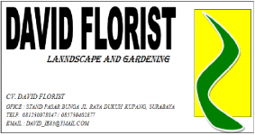 tukang taman surabaya dafid florist consultant and contractor landscape