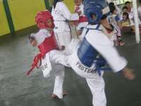 Taekwondo Proteam - HASTA