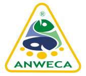 ANWECA.COM
