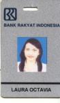 PT. Bank Rakyat Indonesia ( Persero) Tbk