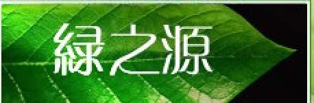 Shaanxi NatureSource Phytochem Co.,  Ltd