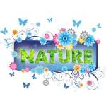 Nature Decoration Materials Co.,  Ltd.