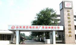 Shandong Weituo Group Co.,  Ltd