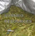 west borneo resources