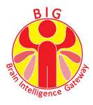 Brain Intelligence Gateway ( BIG)