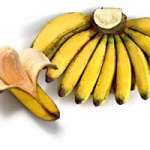 cv.pisang barangan medan