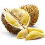 afn_ durian