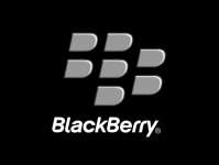 blackberry blitar