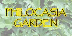 Philocasia Garden