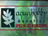 Aquahobby Aquatics