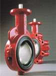 Butterfly Valve Series 20/21