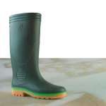 Rubber Boot Shoes