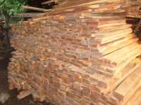 PALLET KAYU