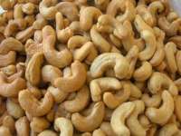 VIET NAM CASHEW NUT KERNELS