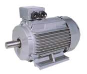 ELECTRIC MOTOR