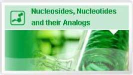 Nucleotides 