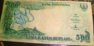 uang kertas & coin