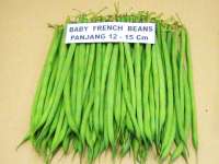 BUNCIS PERANCIS / FRENCH BEANS