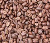 Roasted Coffee Beans - Kopi Siap minum