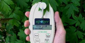 APOGEE CHLOROPHYLL CONCENTRATION METER