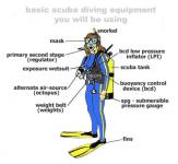 Alat selam / Scuba Diving Equipment