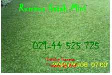 RUMPUT GAJAH MINI BERGARANSI 021-44525725 SMS 0817885013